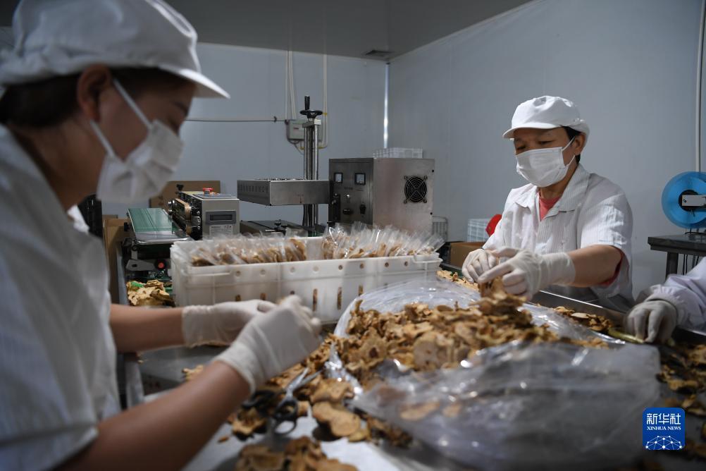 大唐棋牌苹果版下载